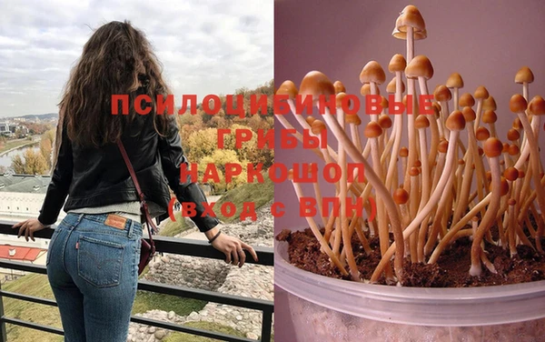 меф Вяземский