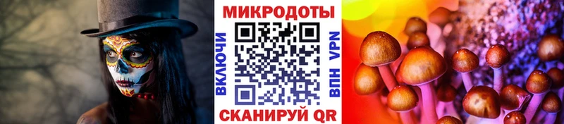 купить наркоту  Чухлома  Галлюциногенные грибы Magic Shrooms 